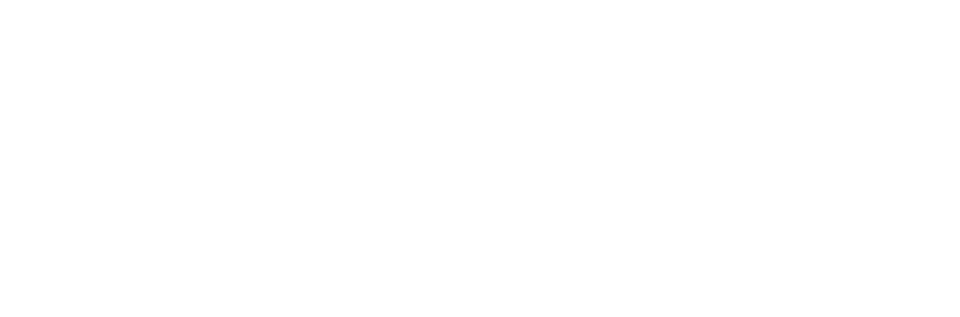 logo-nicea